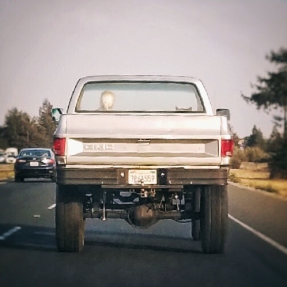 Meet your Posher, Daria. - Picture 5 of 6